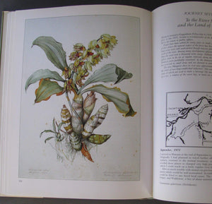 Margaret Mee In Search of Flowers of the Amazon Forests: Diaries of an English Artist Reveal the Beauty of the Vanishing Rainfor,Used
