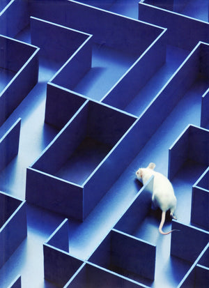 The One Show: Advertising's Best Print, Design, Radio And TV,Used