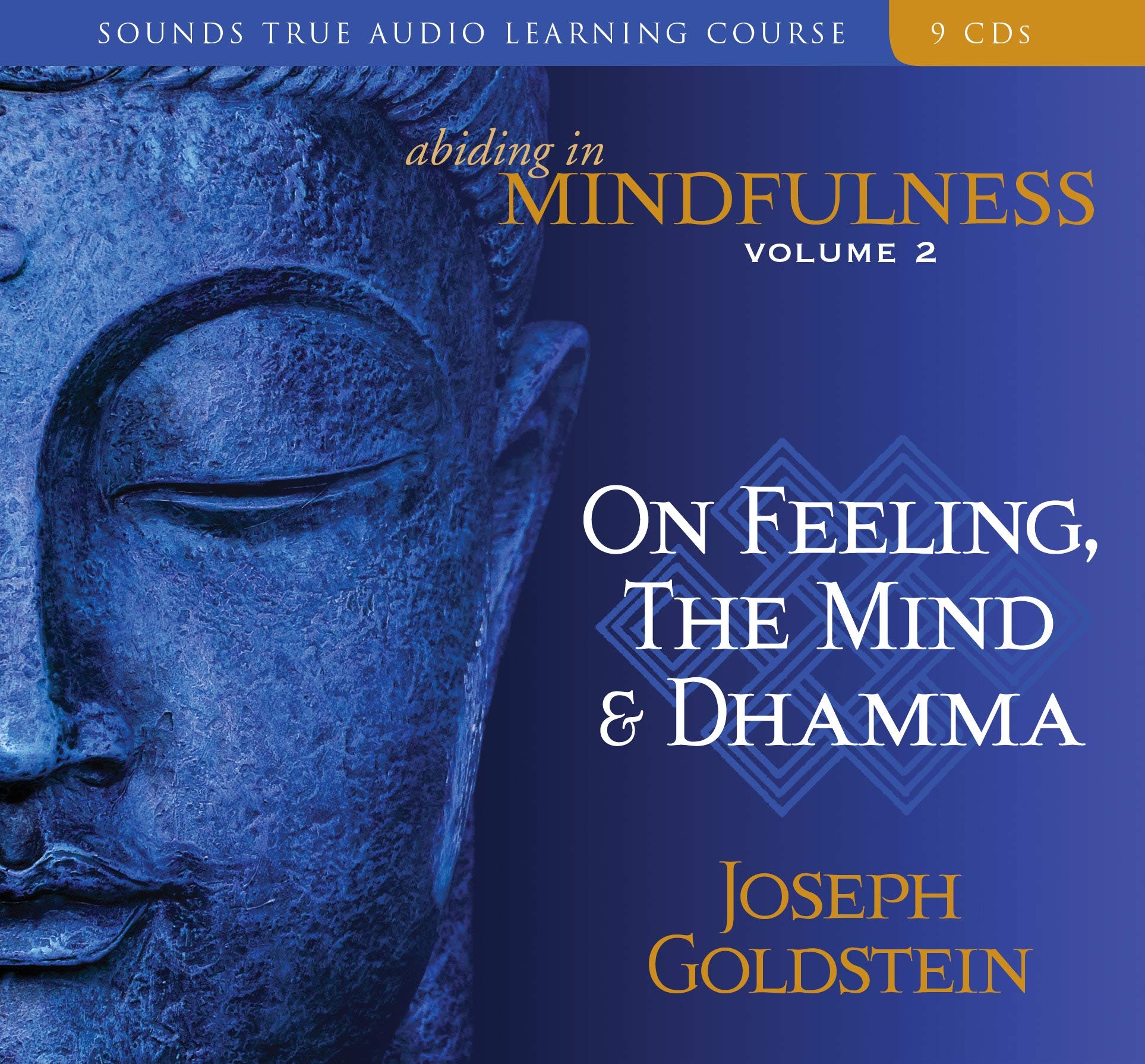 Abiding in Mindfulness, Volume 2: On Feeling, the Mind, and Dhamma,New