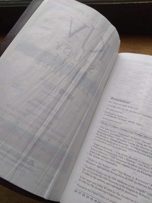 Zondervan KJV Study Bible, Large Print,New