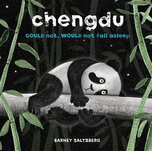 Chengdu Could Not Would Not Fall Asleep (Chengdu, 1)