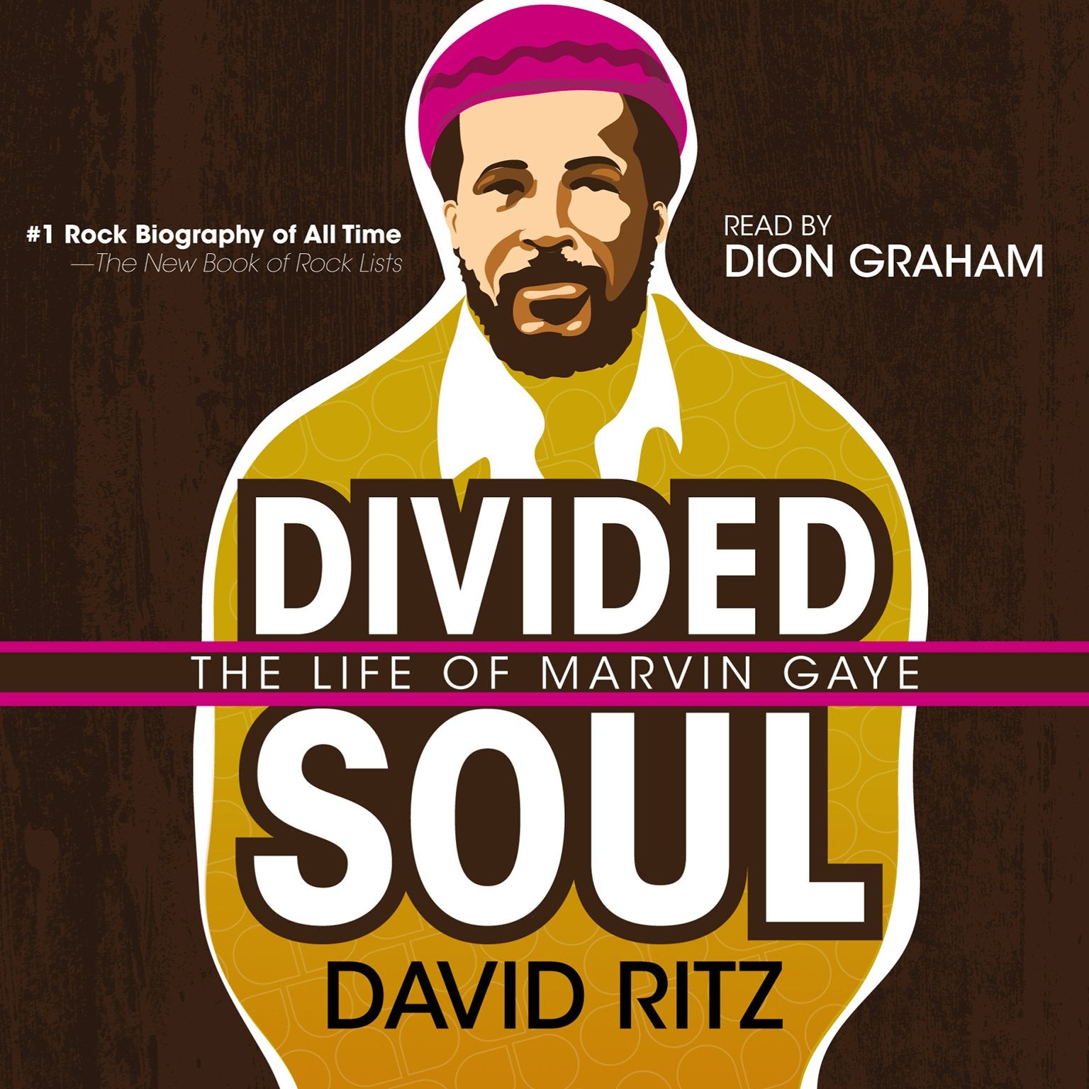 Divided Soul: The Life Of Marvin Gaye,Used