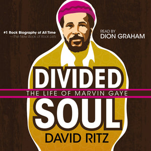 Divided Soul: The Life Of Marvin Gaye,Used