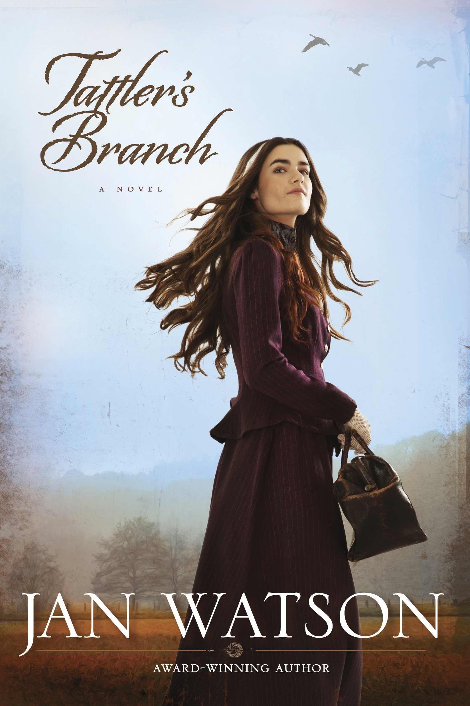 Tattler's Branch,Used