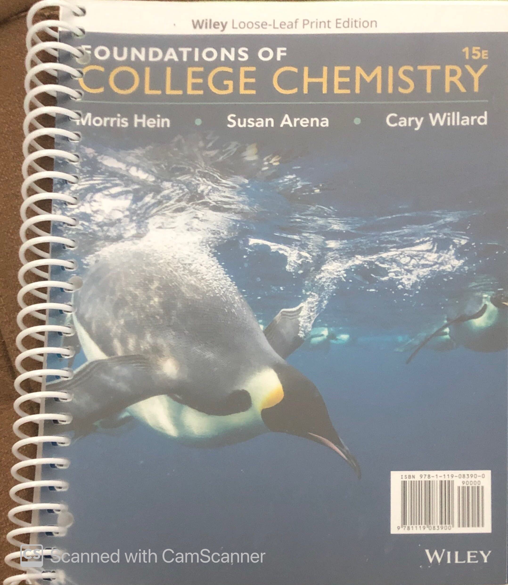 Foundations of College Chemistry,New