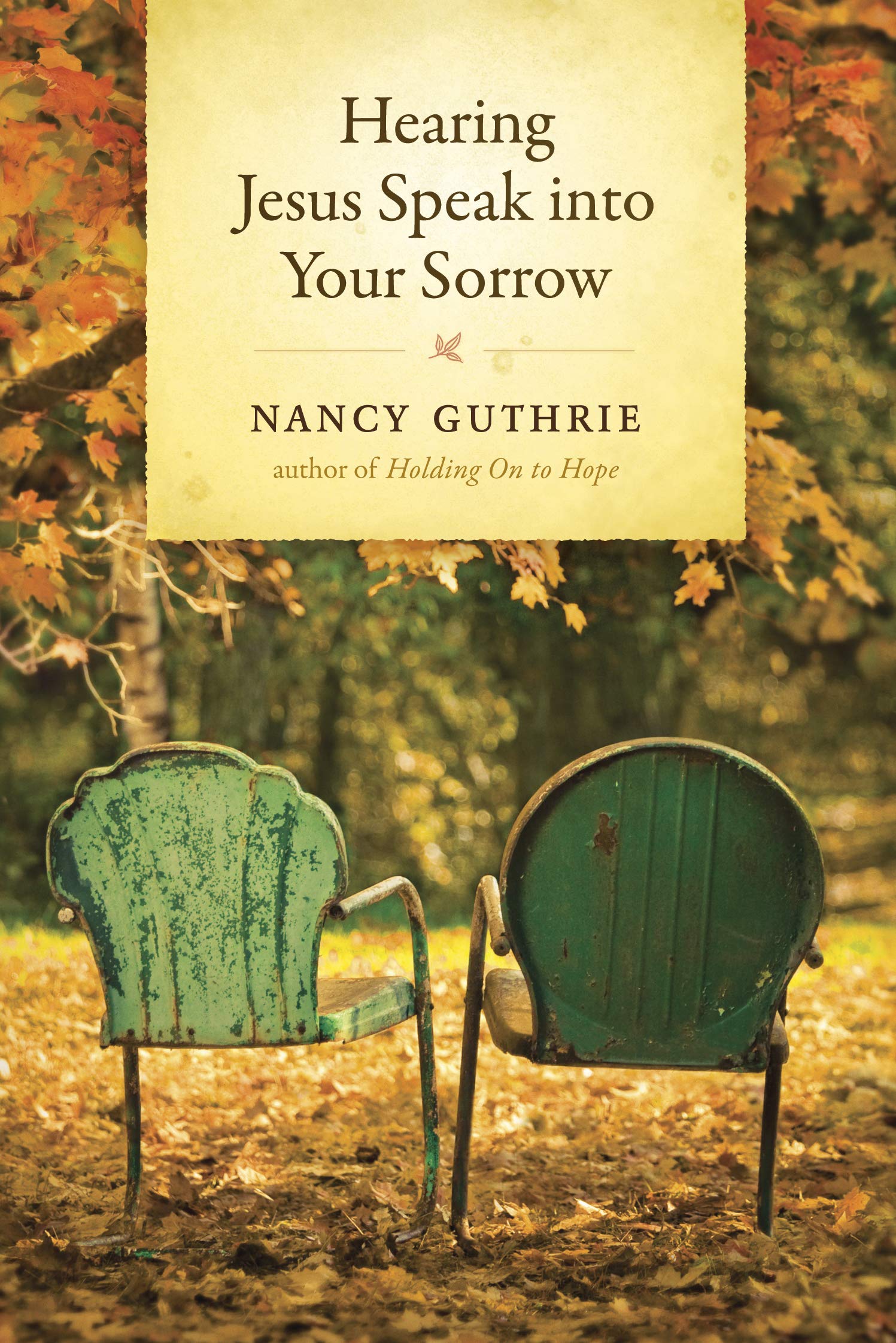 Hearing Jesus Speak into Your Sorrow,New