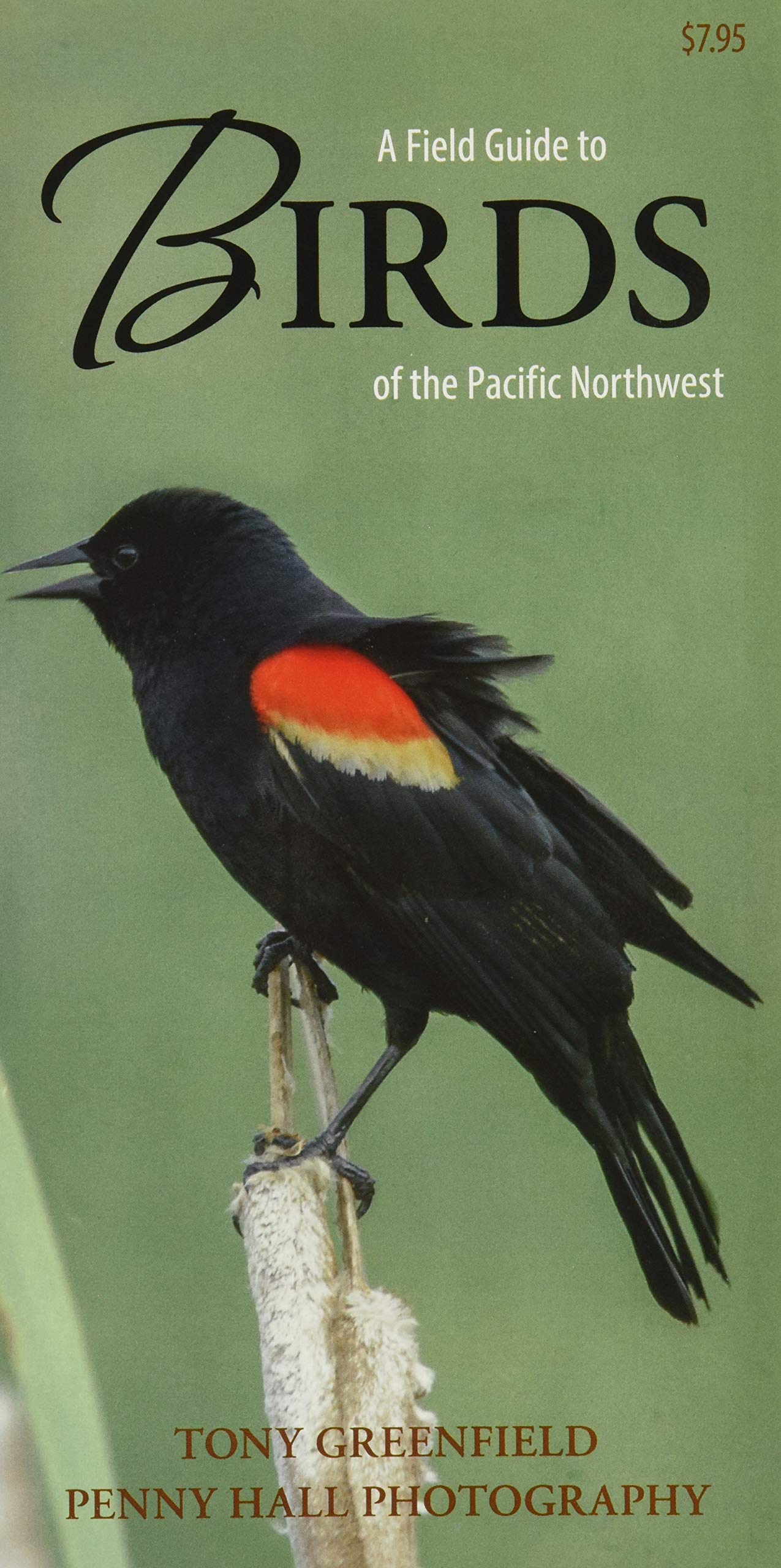 A Field Guide To Birds Of The Pacific Northwest,Used