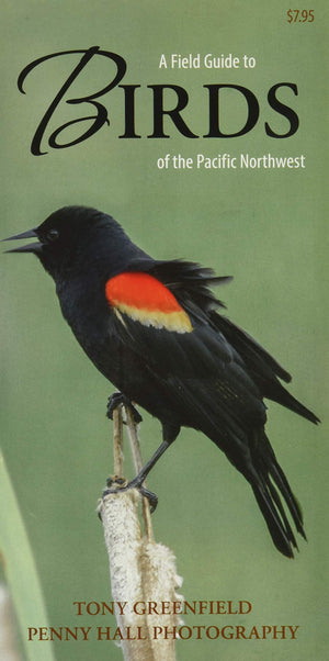 A Field Guide To Birds Of The Pacific Northwest,Used