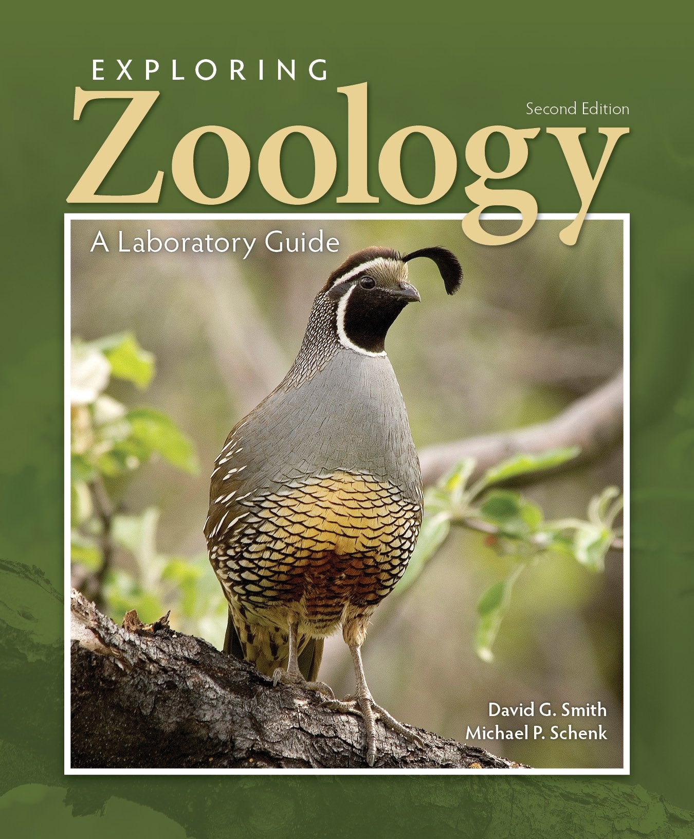 Exploring Zoology in the Laboratory,Used