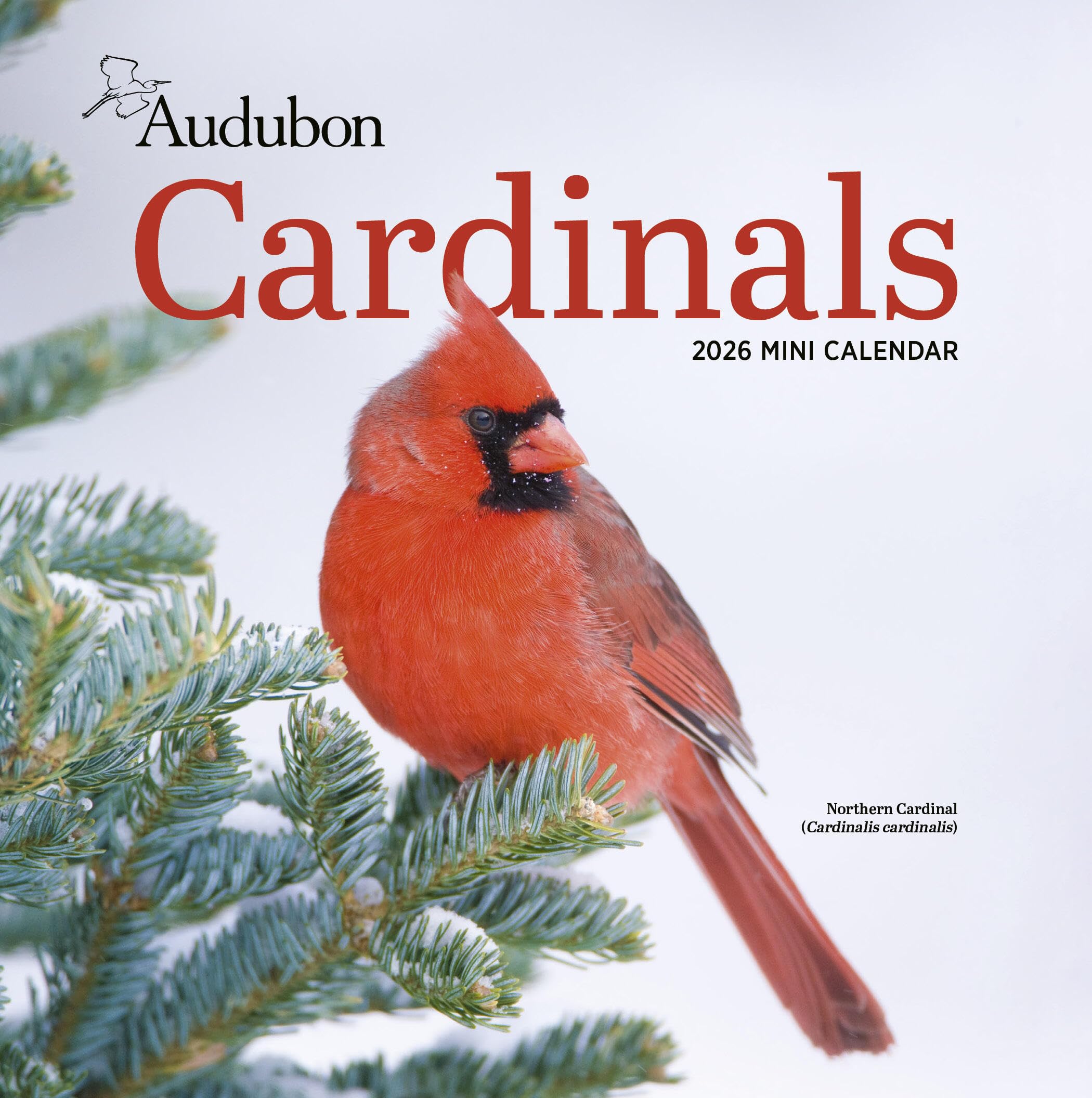 Cal 26 Audubon Cardinals