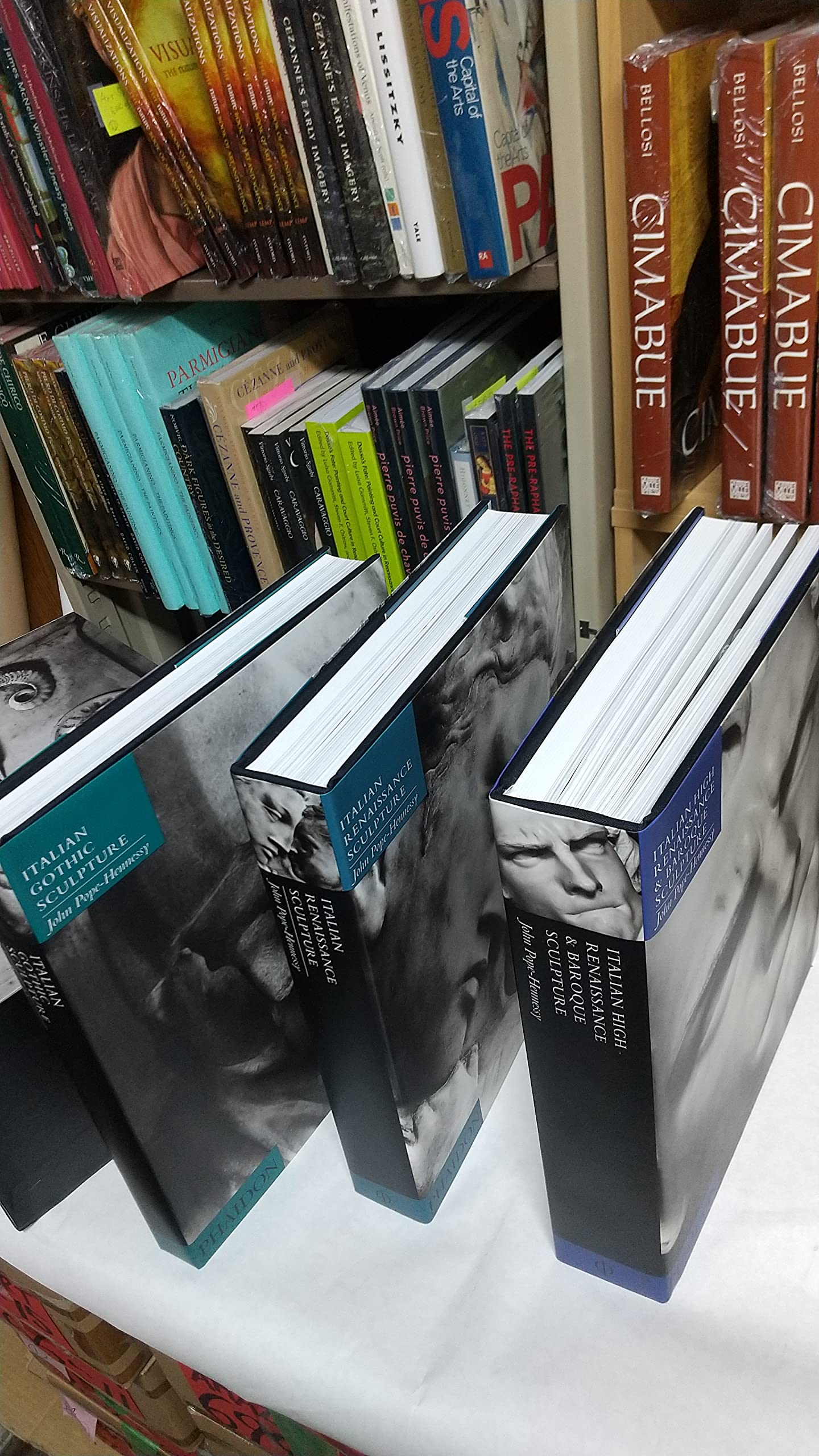 Introduction to Italian Sculpture Boxset,Used