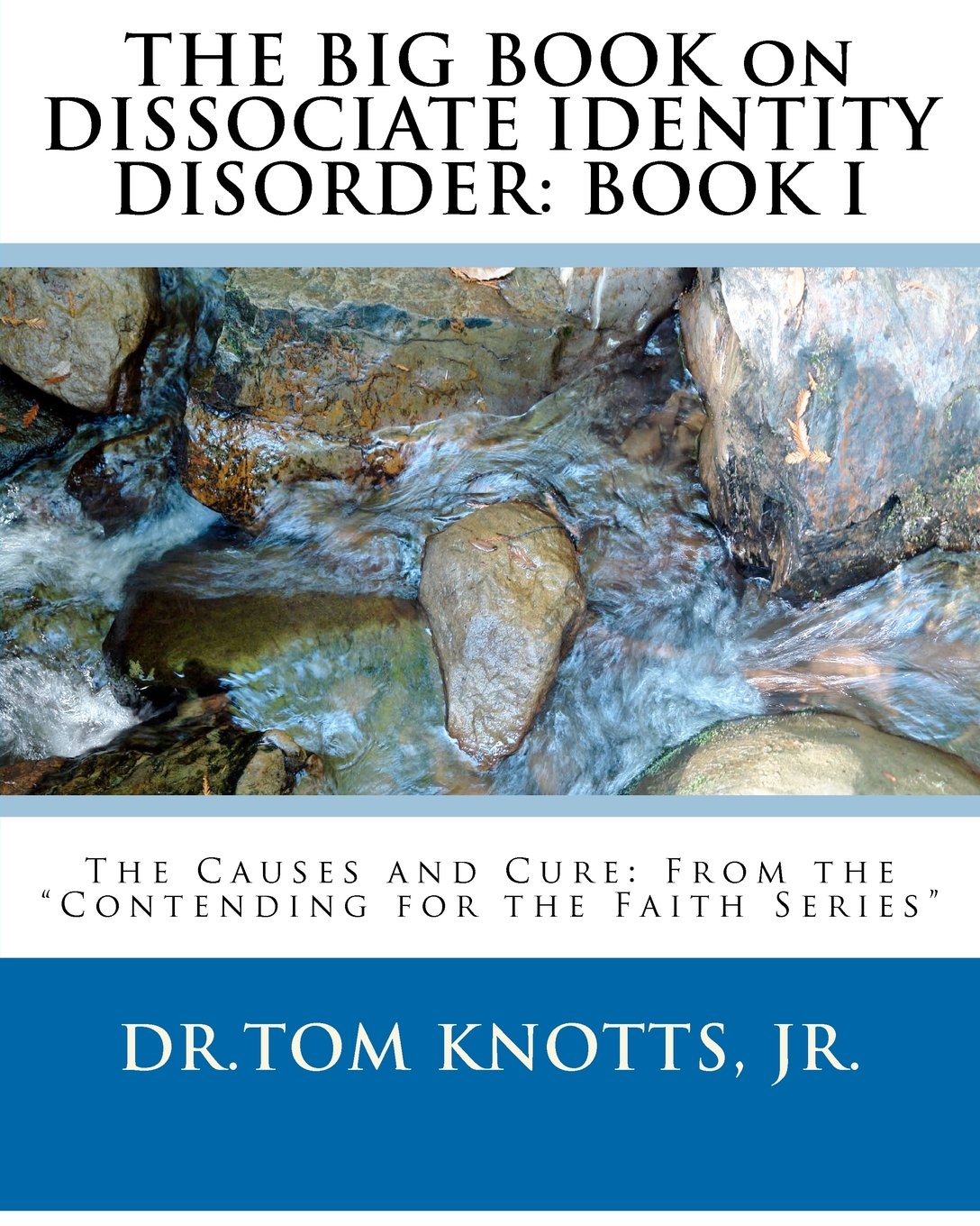 THE BIG BOOK on DISSOCIATE IDENTITY DISORDER: The Causes and Cure: Book Two from the 