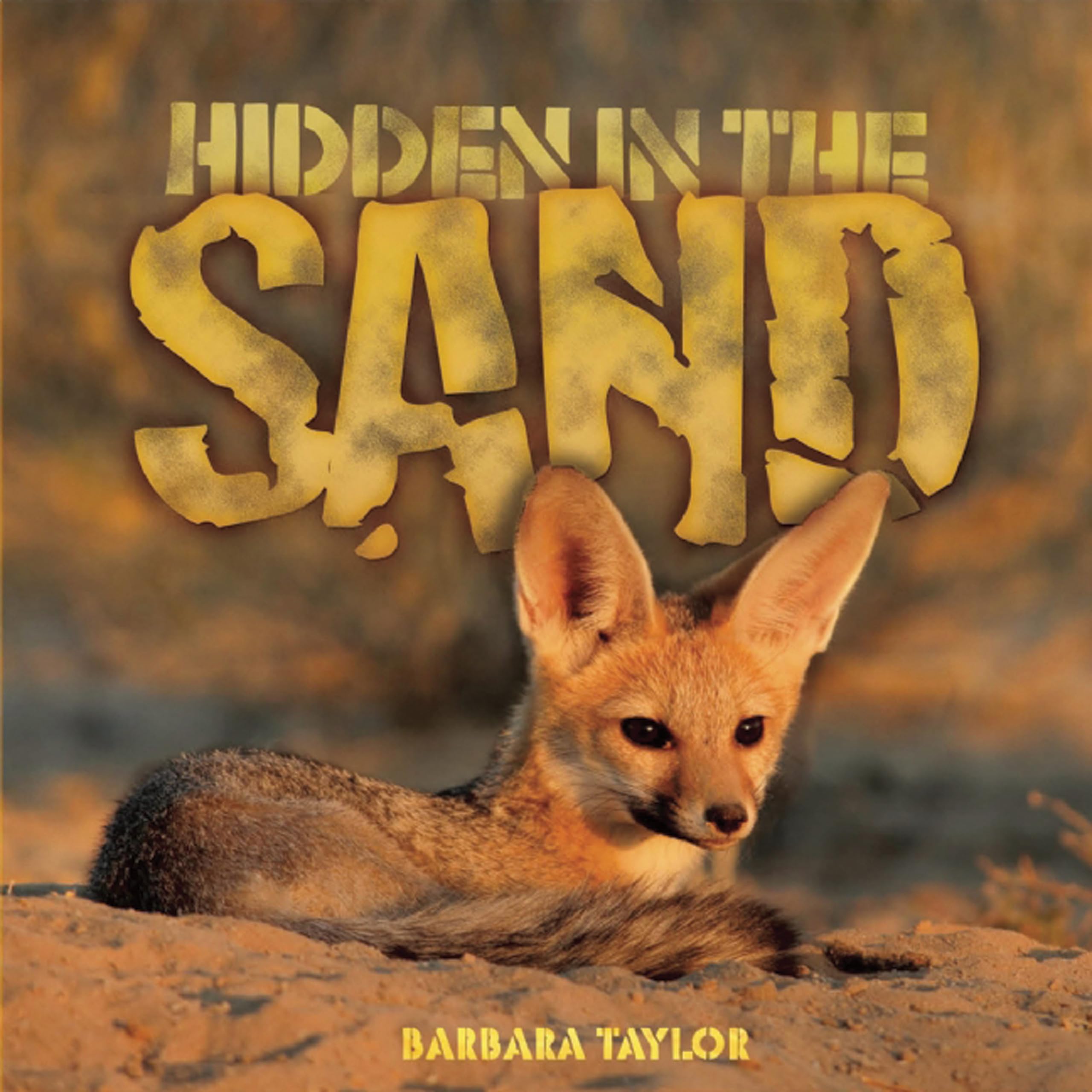 Sand (Hidden in the. . .),Used