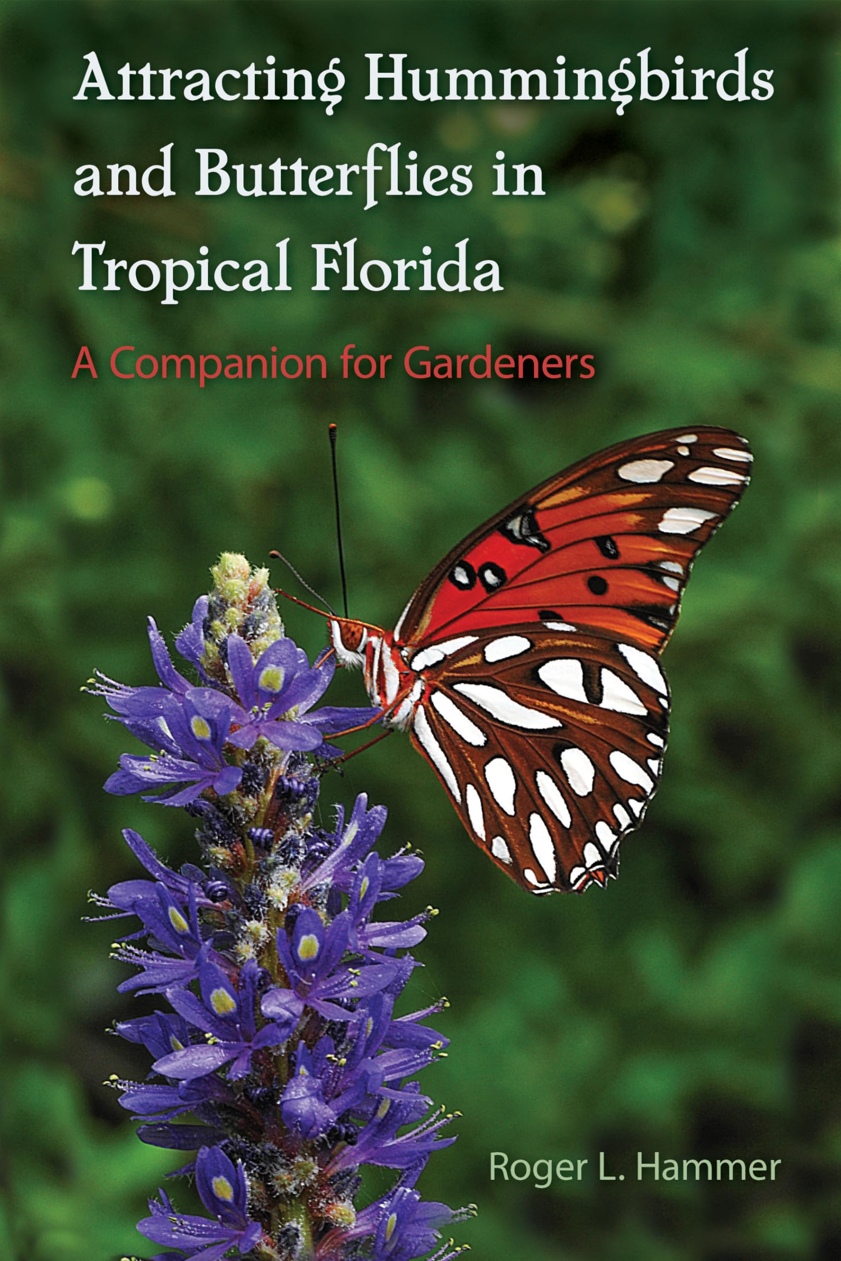 Attracting Hummingbirds And Butterflies In Tropical Florida: A Companion For Gardeners,Used