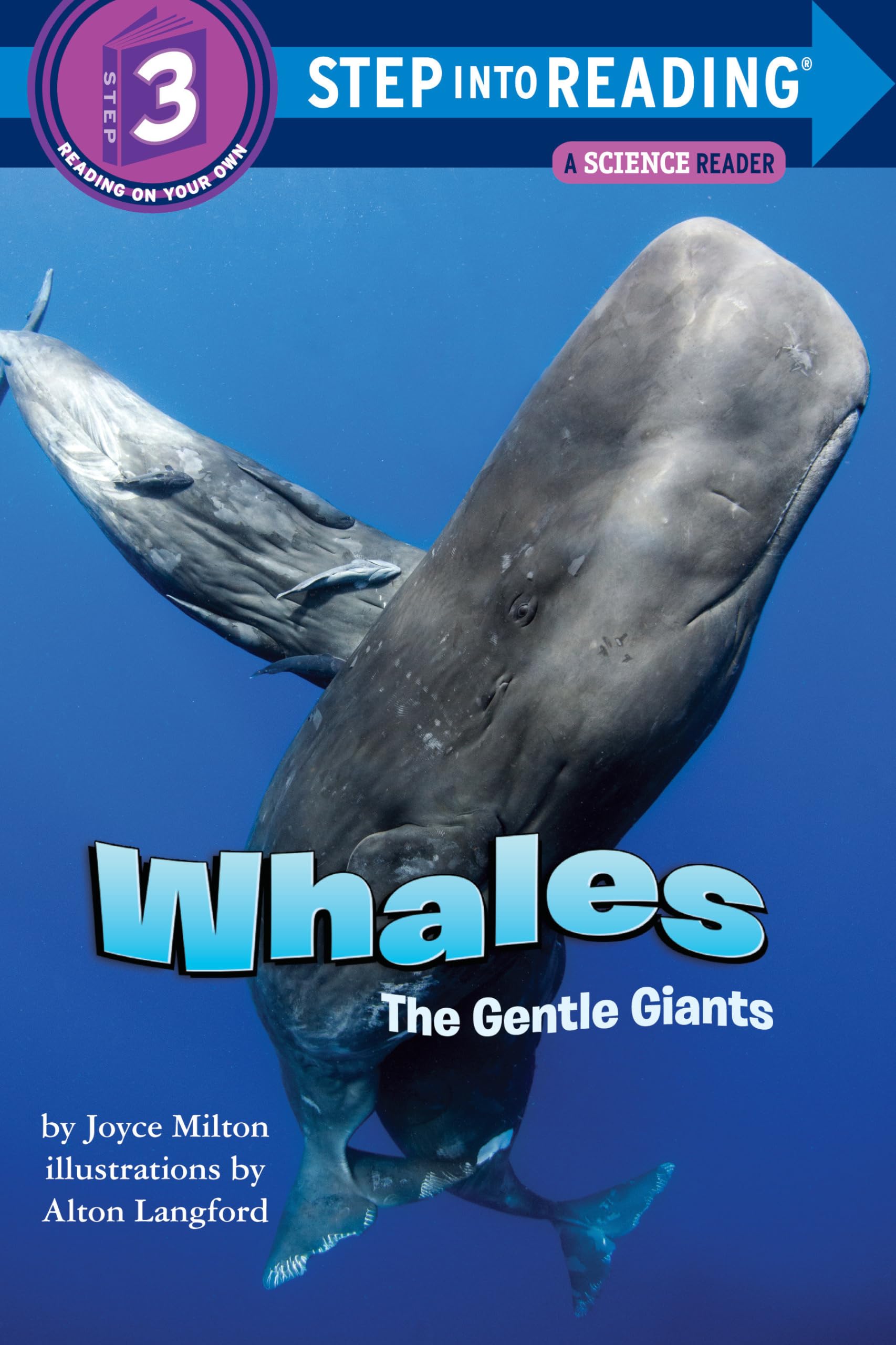 Whales: The Gentle Giants,Used