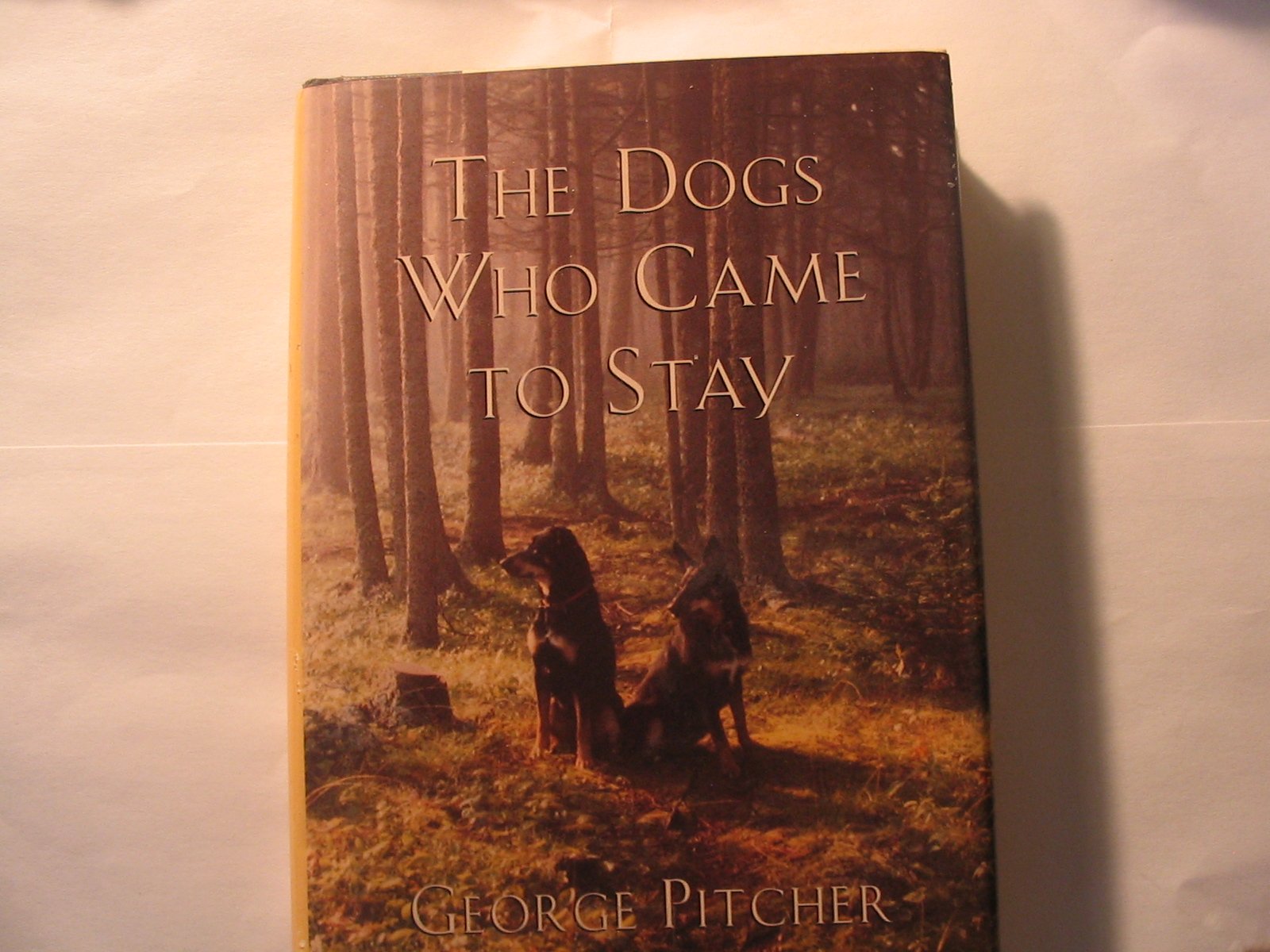 The Dogs Who Came to Stay,Used