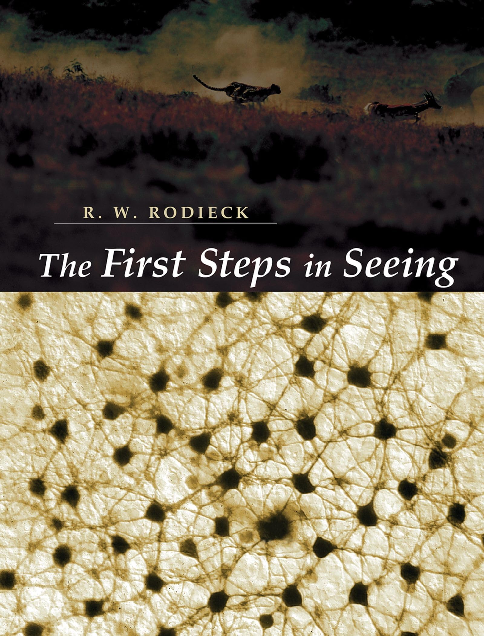 The First Steps in Seeing,New