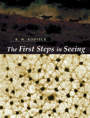 The First Steps in Seeing,New