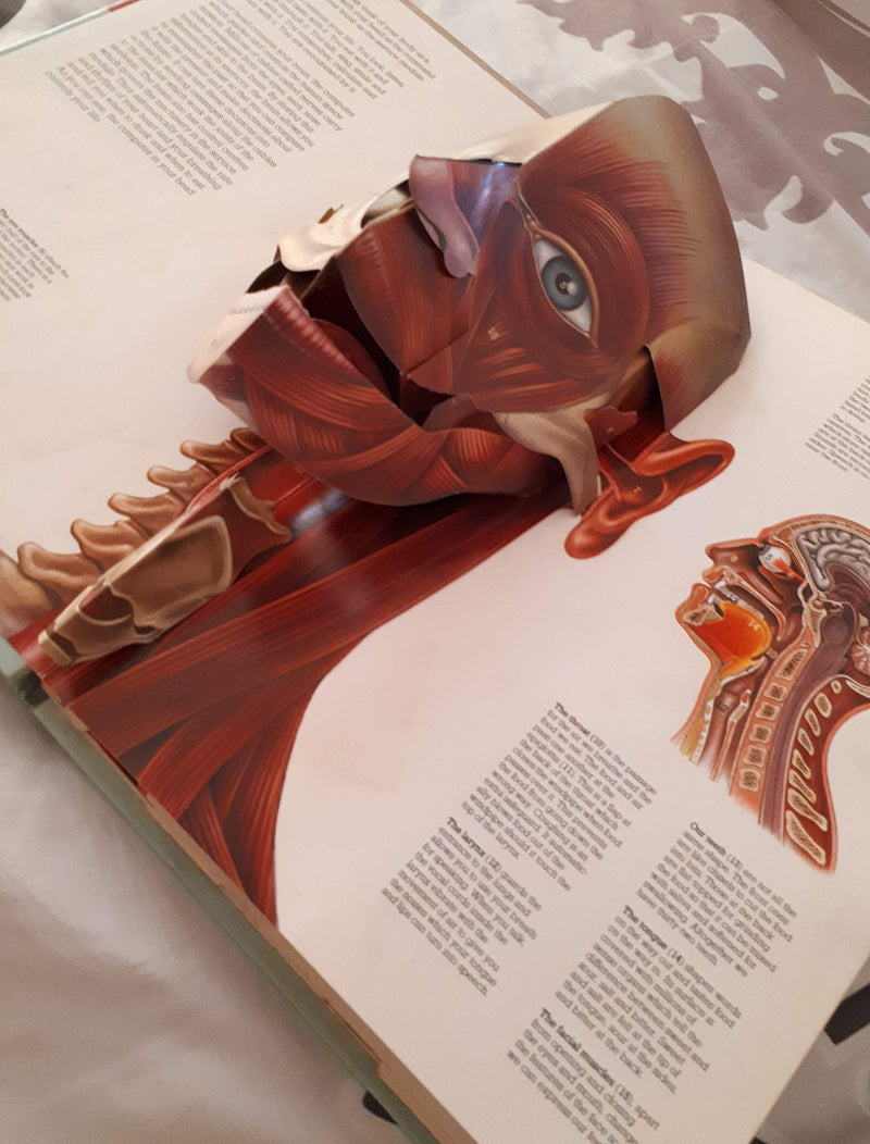 The Human Body,Used