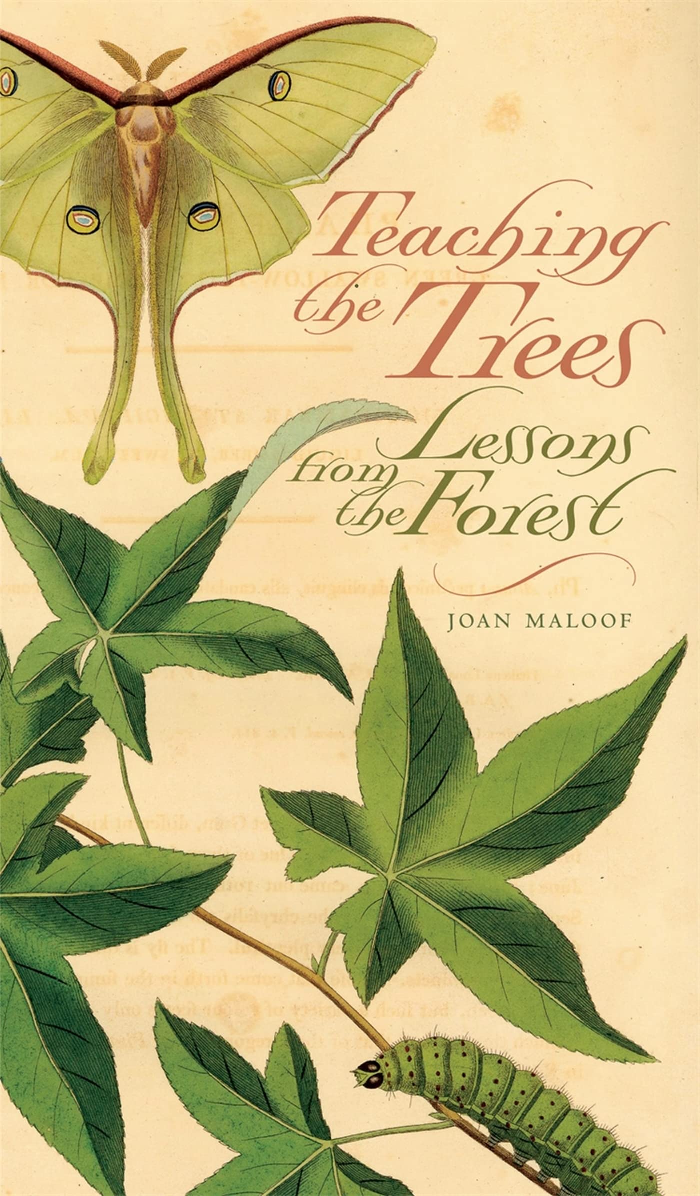 Teaching The Trees: Lessons From The Forest,New
