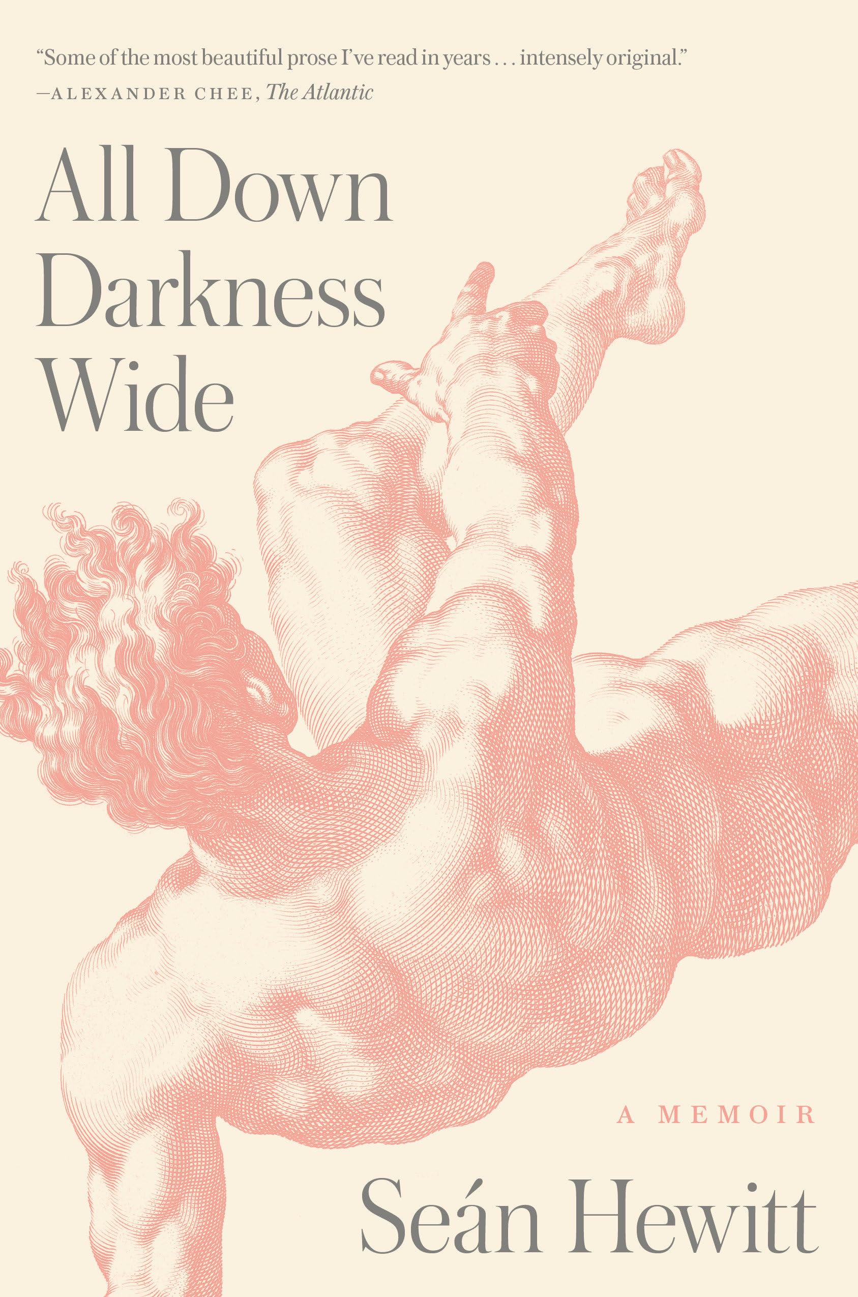 All Down Darkness Wide: A Memoir,Used
