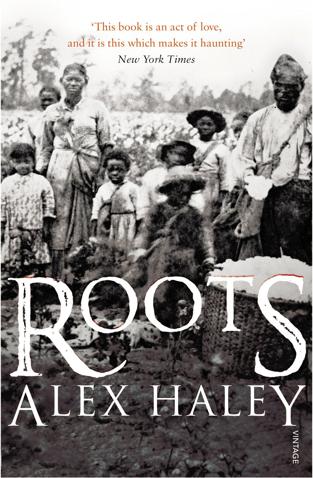 Roots,Used