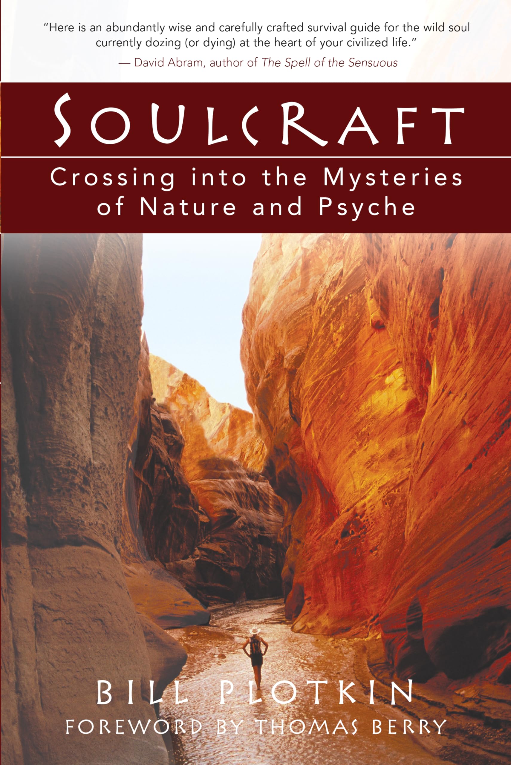 Soulcraft: Crossing Into The Mysteries Of Nature And Psyche