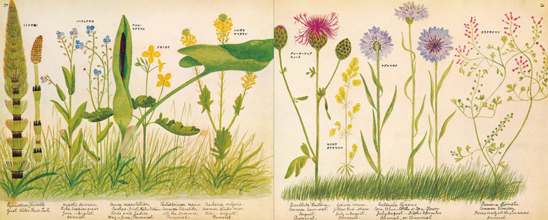 A Victorian Flower Album,Used