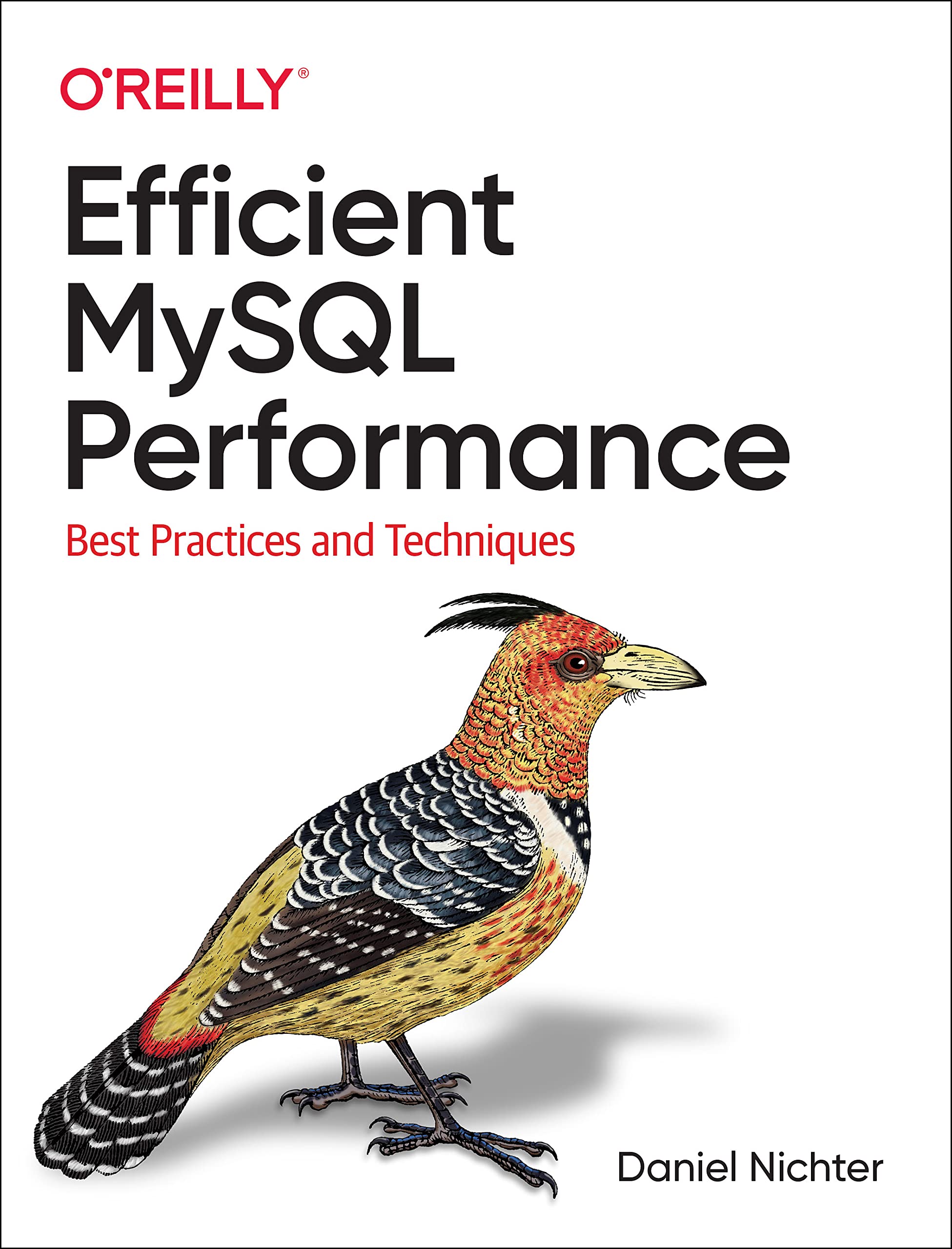 Efficient MySQL Performance: Best Practices and Techniques,Used