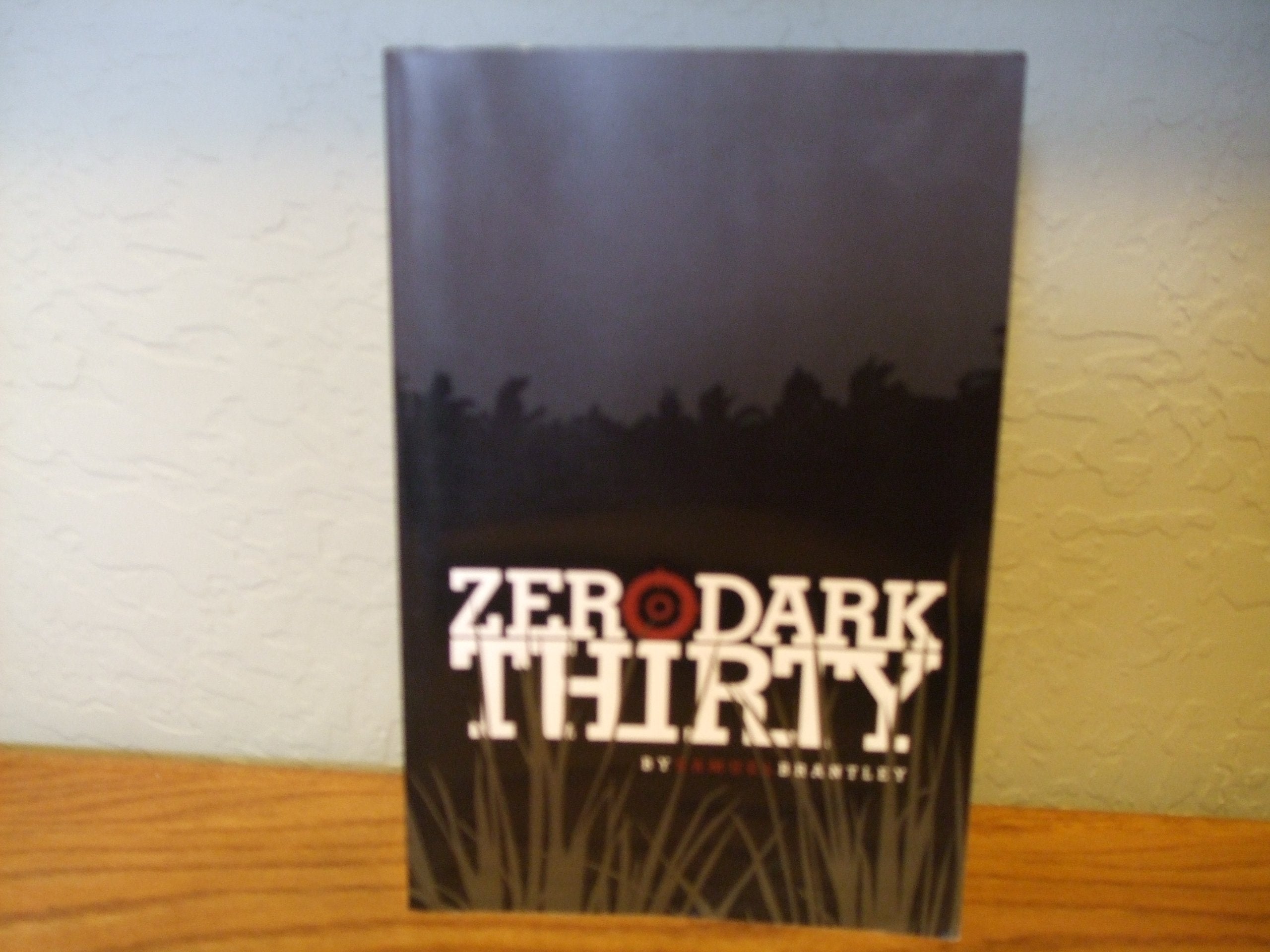 Zero Dark Thirty
