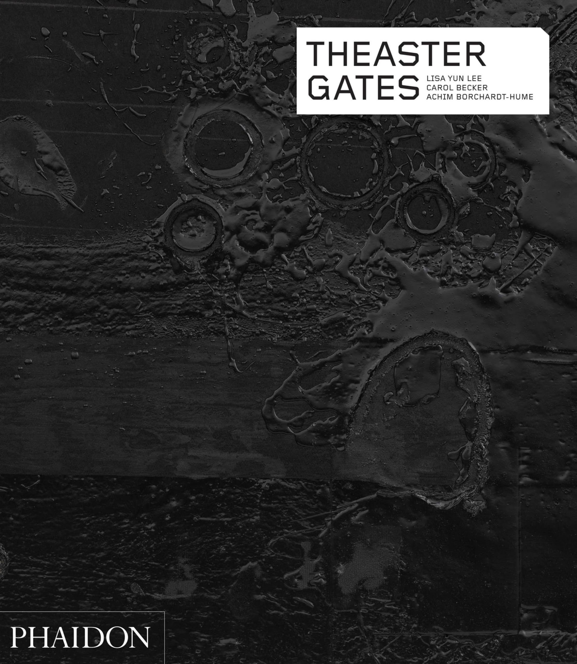 Theaster Gates (Phaidon Contemporary Artists Series),Used