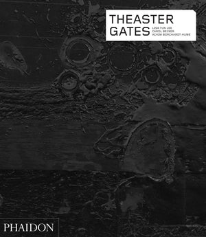 Theaster Gates (Phaidon Contemporary Artists Series),Used