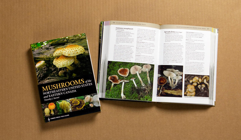 Mushrooms of the Northeastern United States and Eastern Canada (A Timber Press Field Guide),Used