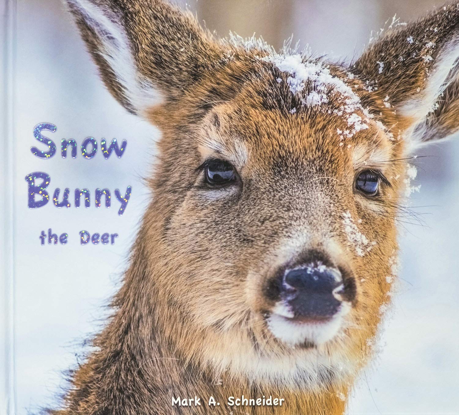 Snow Bunny the Deer Children's Book,Used