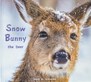 Snow Bunny the Deer Children's Book,Used