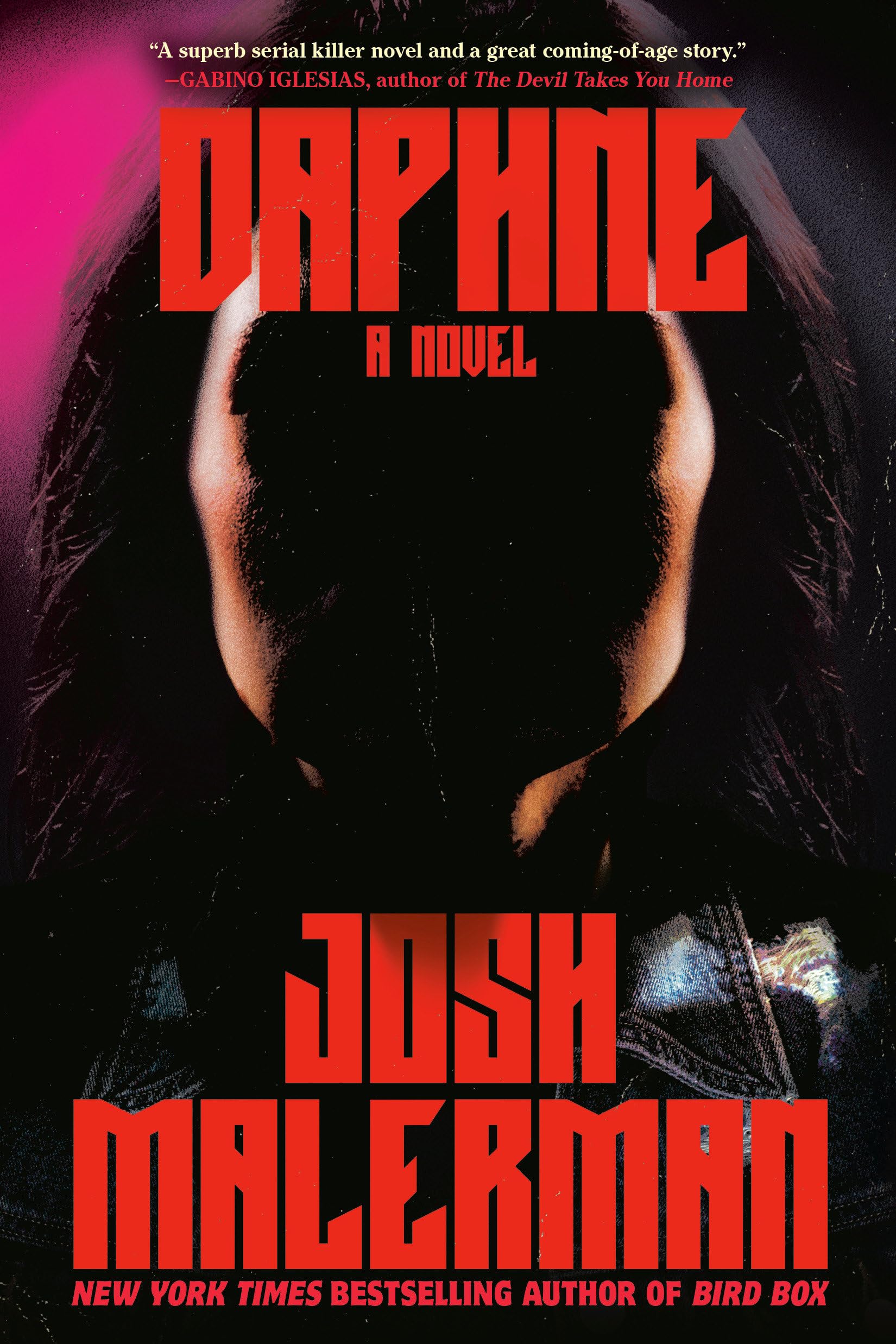 Daphne: A Novel,Used