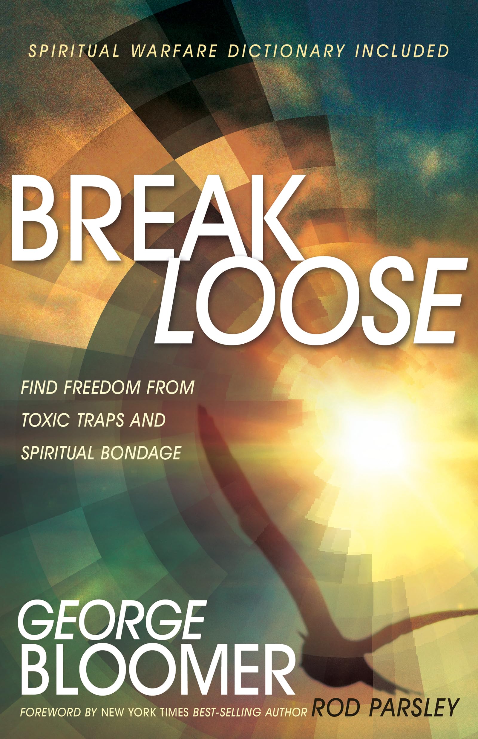 Break Loose: Find Freedom From Toxic Traps And Spiritual Bondage,Used