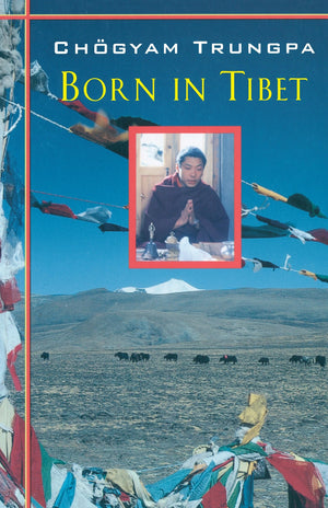 Born In Tibet,Used