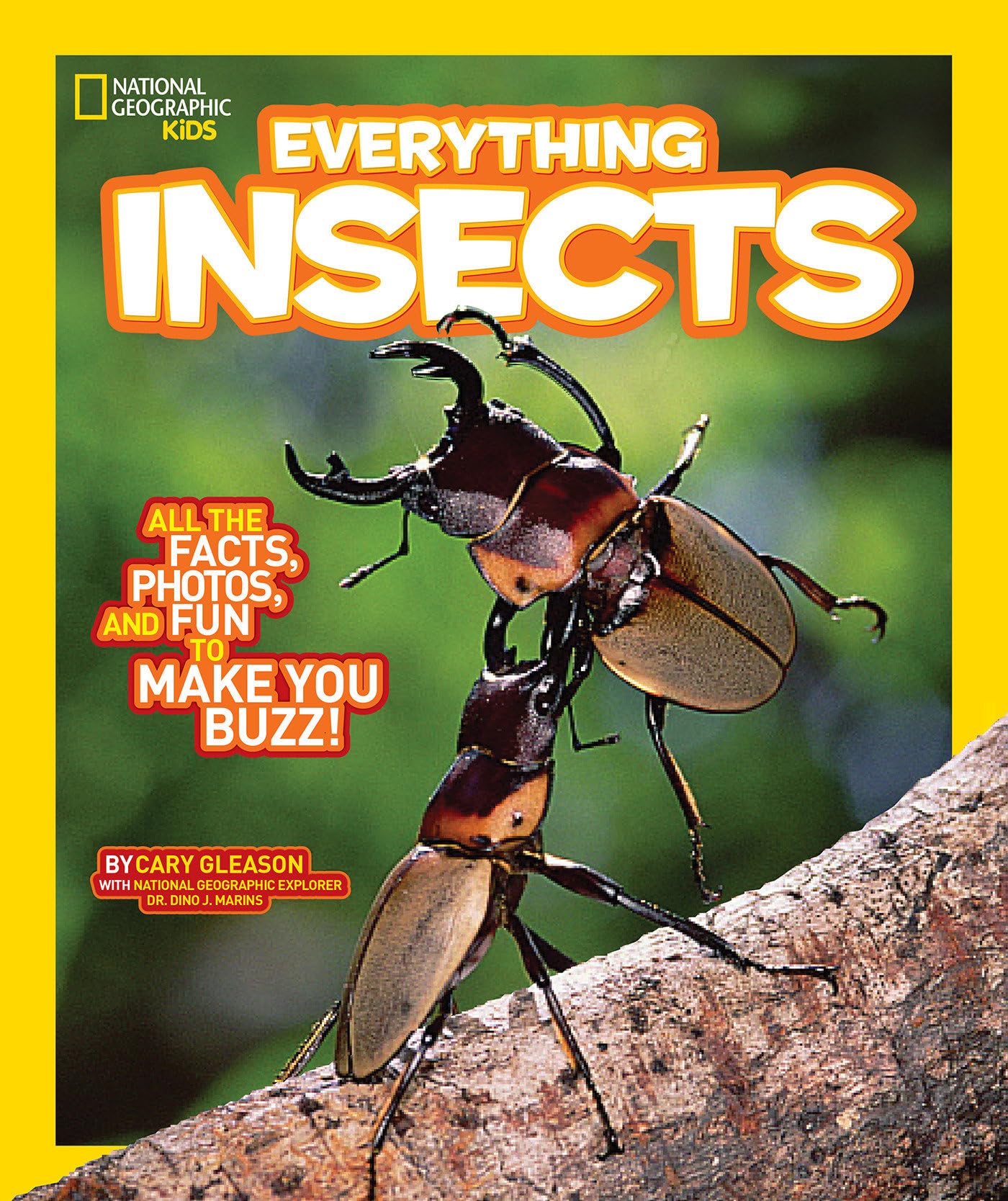 National Geographic Kids Everything Insects: All the Facts, Photos, and Fun to Make You Buzz,Used