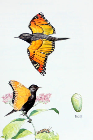 A Field Guide to LittleKnown and SeldomSeen Birds of North America,Used