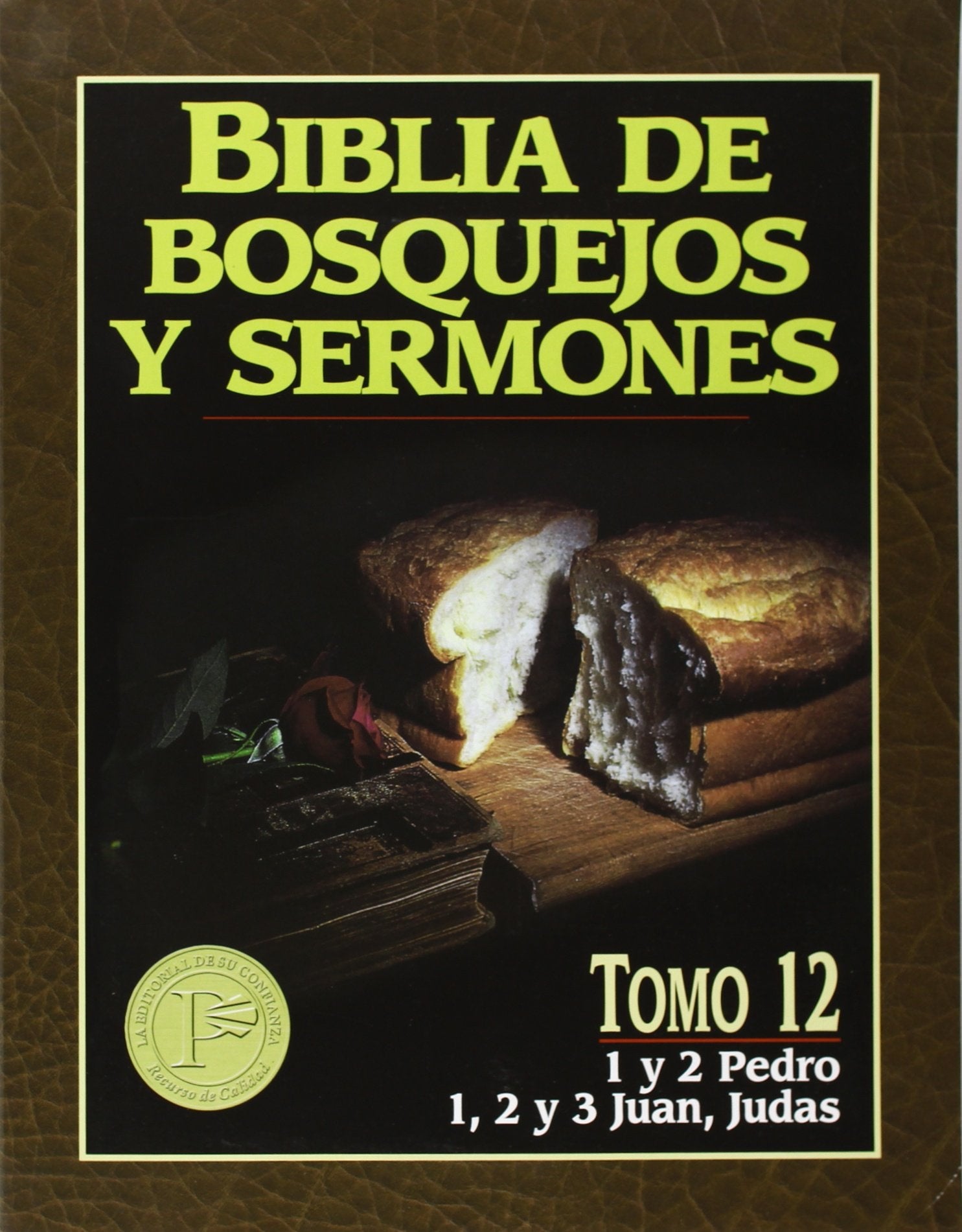 Biblia de bosquejos y sermones: Pedro, Juan, Judas' (Biblia de Bosquejos y Sermones N.T.) (Spanish Edition),Used