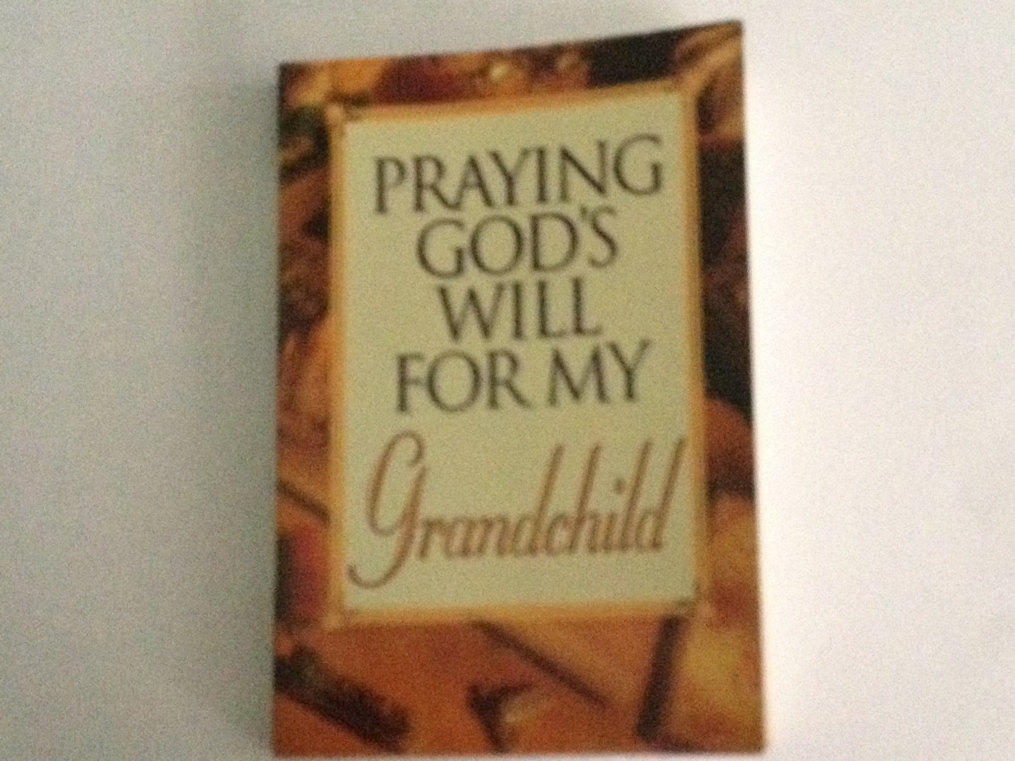 Praying God's Will for My Grandchild,Used