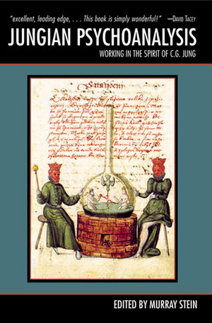 Jungian Psychoanalysis: Working In The Spirit Of Carl Jung,Used