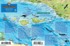Channel Islands National Park Map & Kelp Forest Creatures Waterproof Fish Card,Used