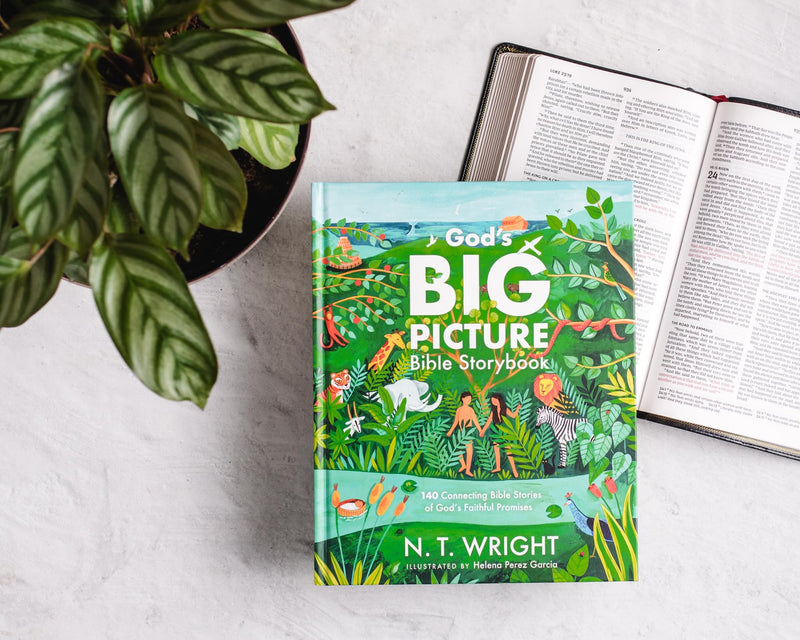God'S Big Picture Bible Storybook: 140 Connecting Bible Stories Of God'S Faithful Promises (God?S Big Picture Bible Stories)