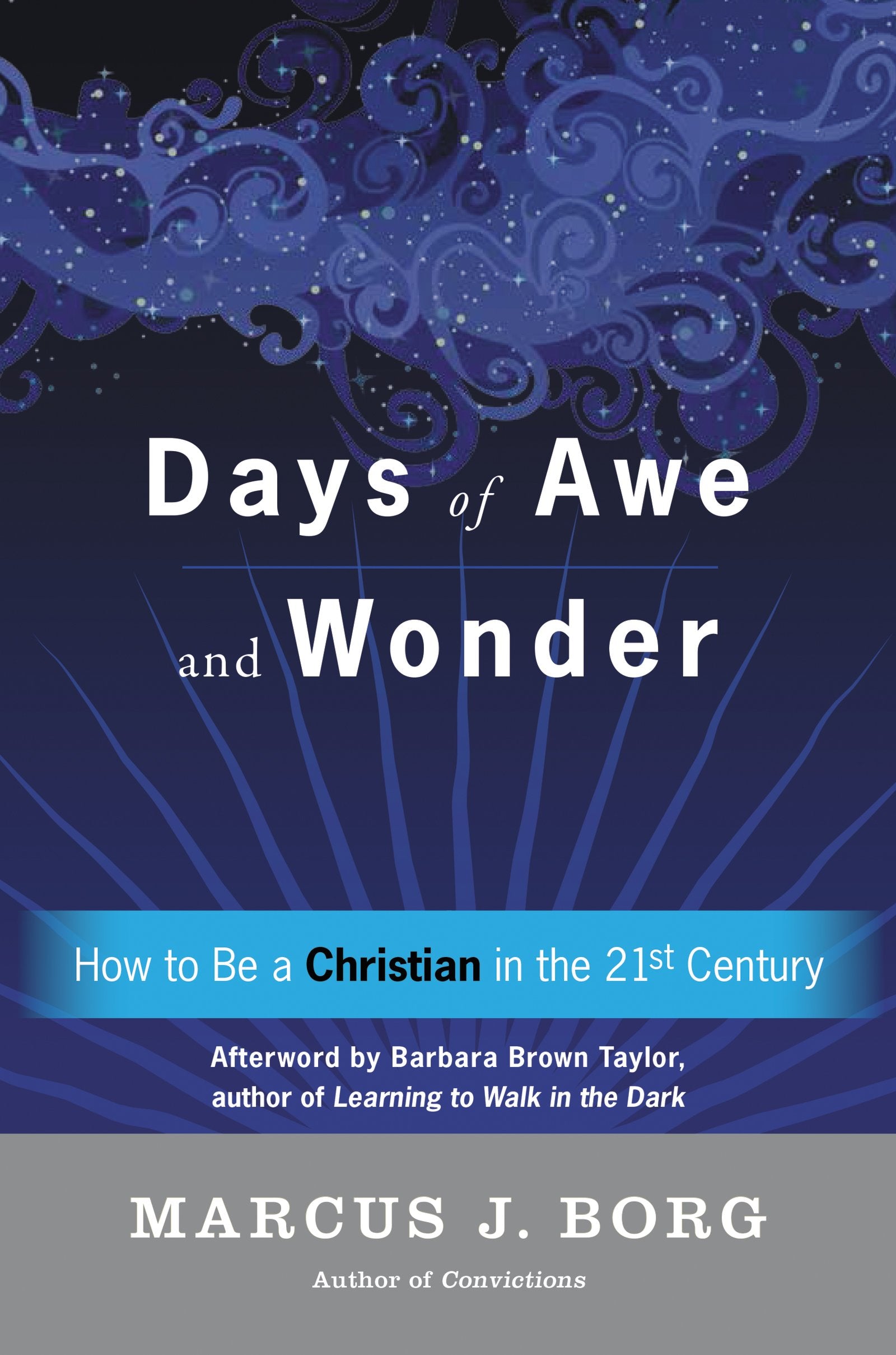 Days Of Awe And Wonder: How To Be A Christian In The Twentyfirst Century,Used