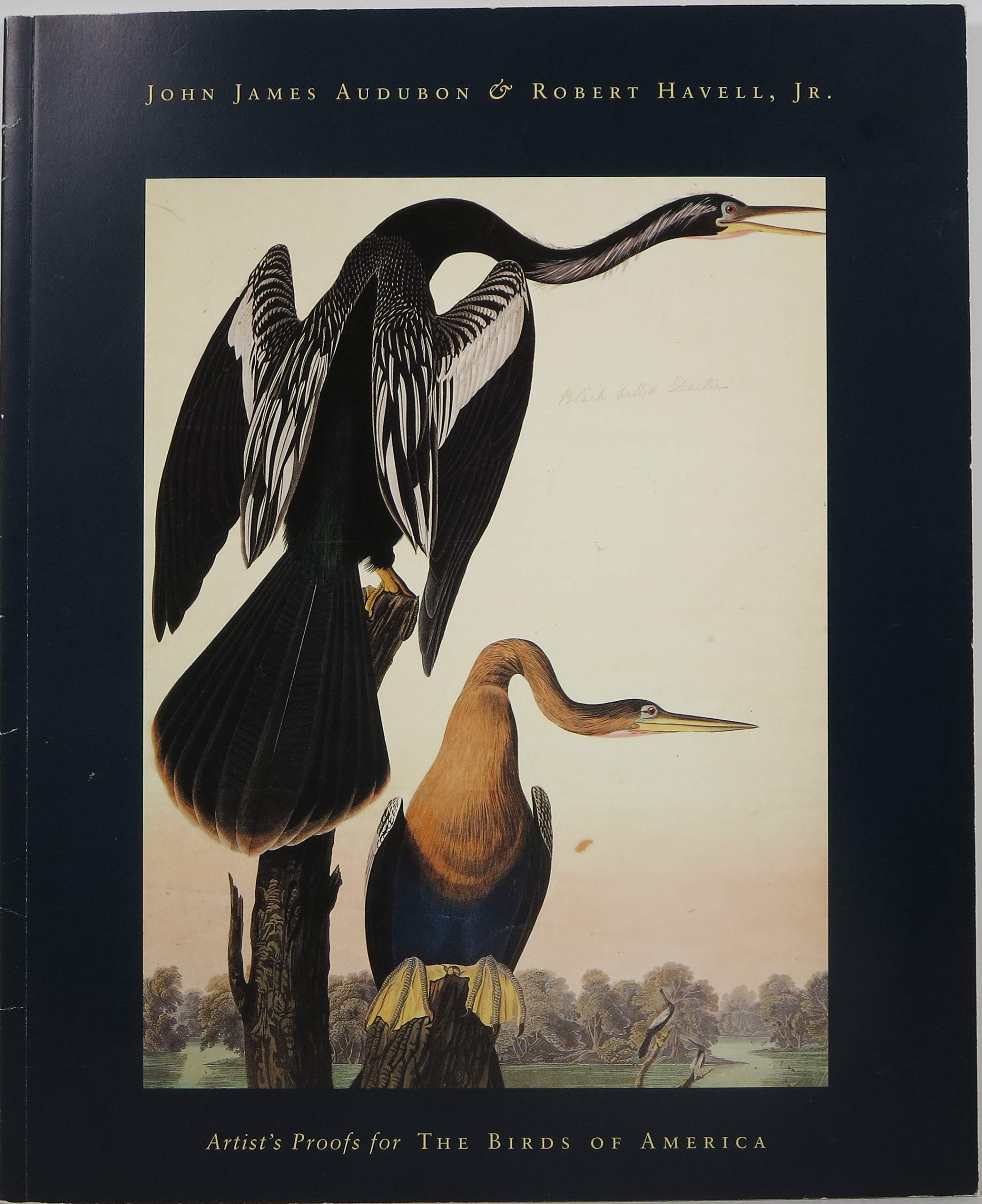John James Audubon & Robert Havell, Jr.: Artist'S Proofs For The Birds Of America