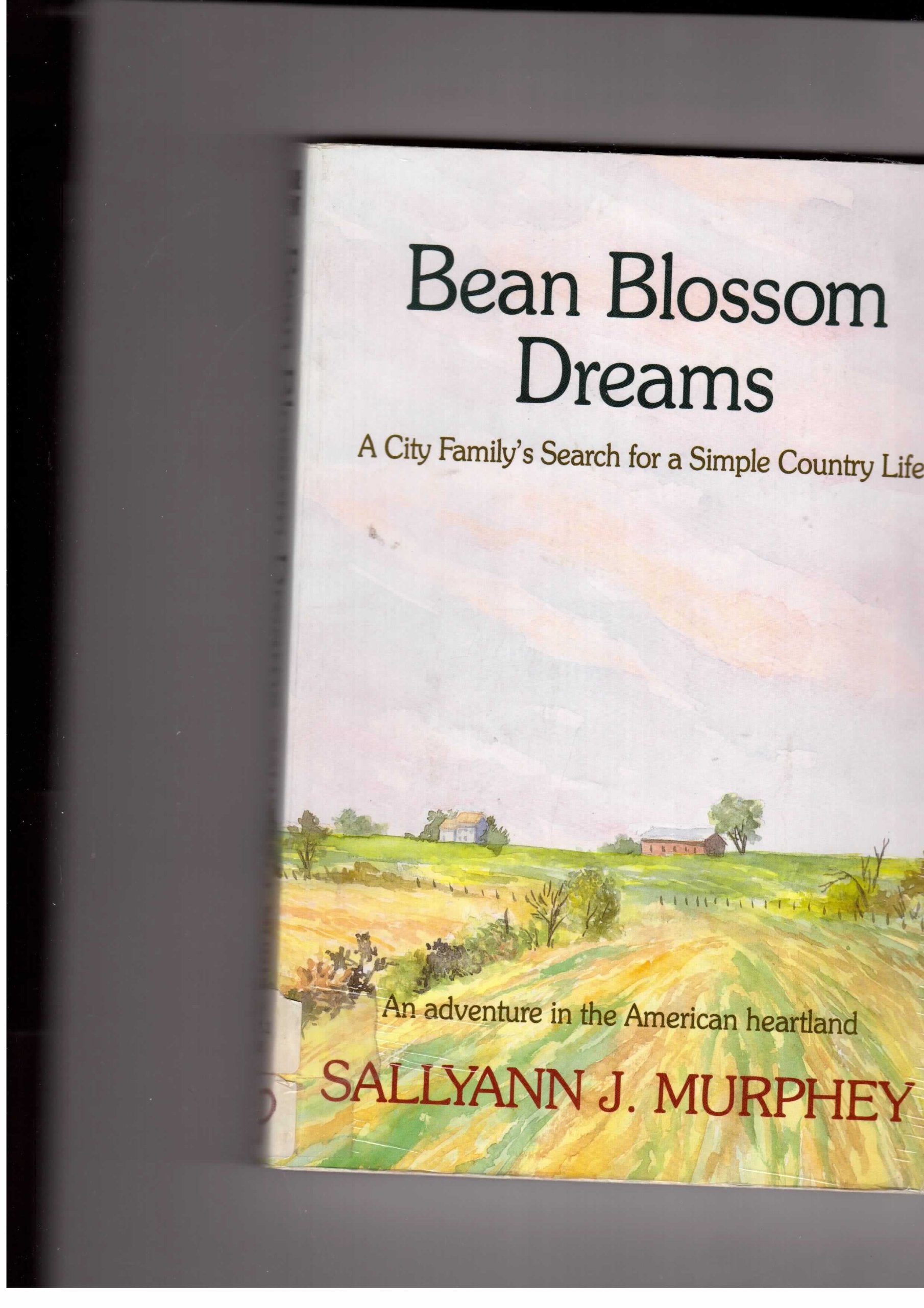 Bean Blossom Dreams: A City Family's Search for a Simple Country Life (Thorndike Press Large Print Paperback Series),Used