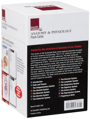 Anatomy & Physiology Flash Cards,Used