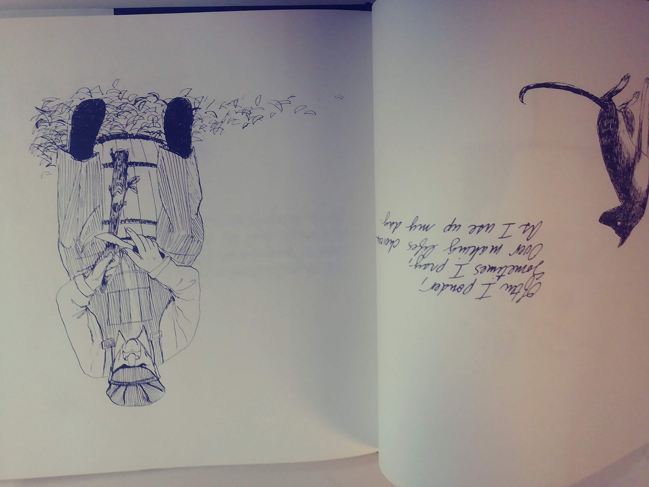 Life Between the Questions,Used